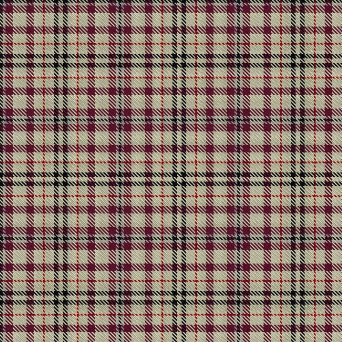 Dijkgraaf, Markus Jack (Personal) Tartan kilt