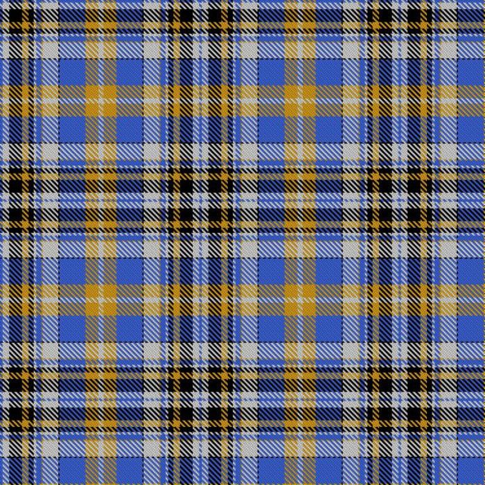 Dinarzh Fortress of the Bear Tartan