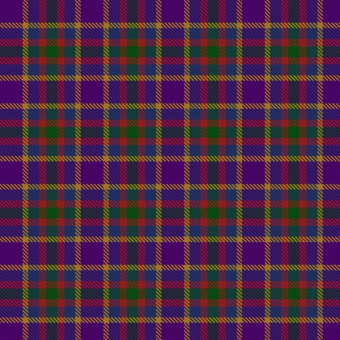 Dinwiddie, Emily & Family (Personal) Tartan 