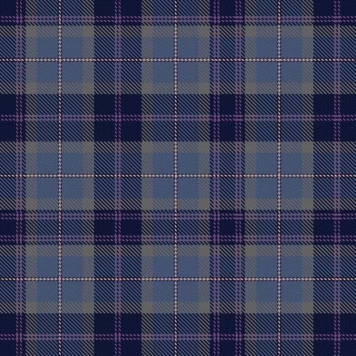 Dinwoodie, G (Personal) Tartan 