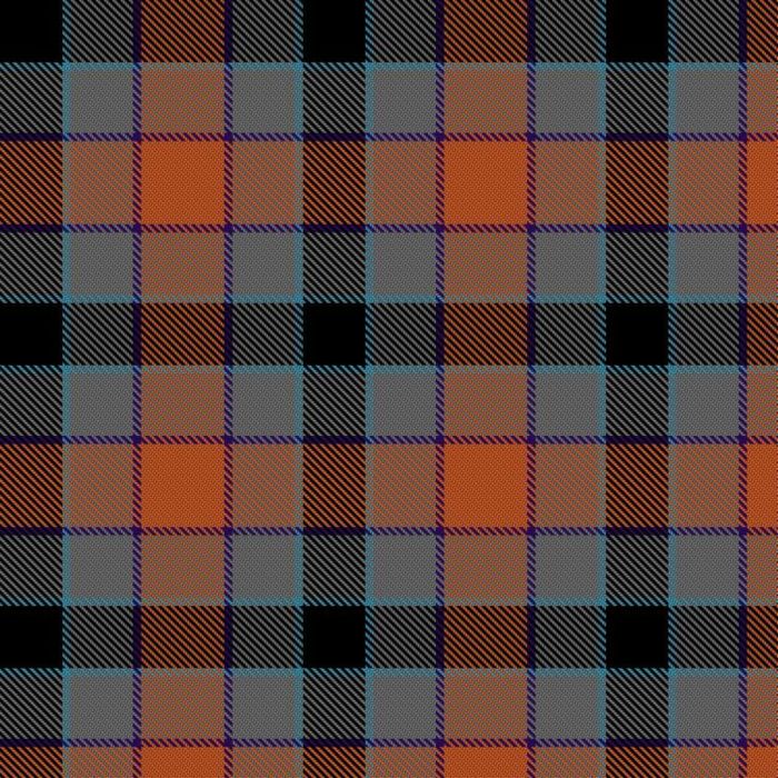 Disability Advocate Tartan 
