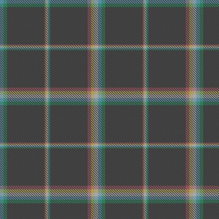Disability Pride (Lisa Petriello Designs) Tartan 