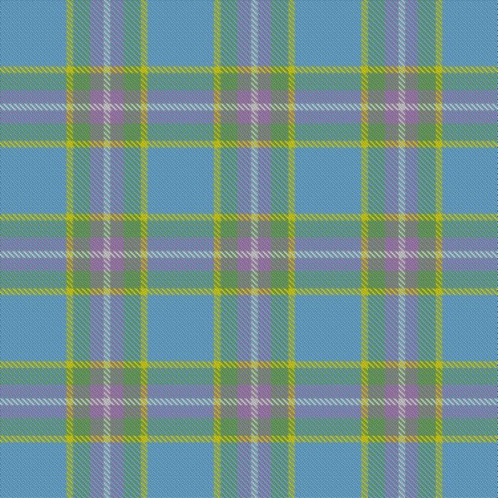 Dishman, Timothy & Family (Personal) Tartan 