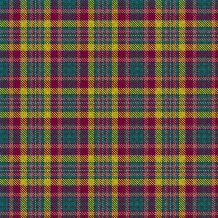 DIWC (Dundee International Women's Centre) Tartan 