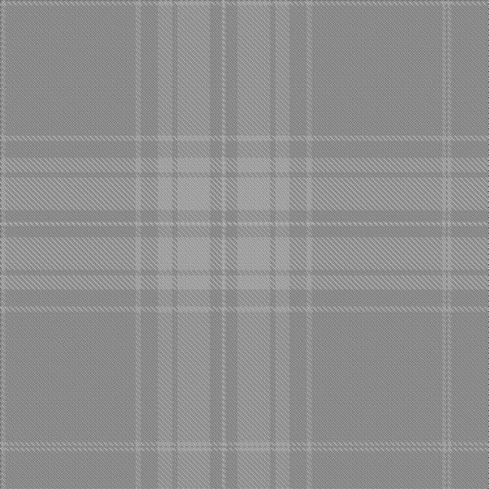 Doerr, Michael & Riley and Family Dress (Personal) Tartan