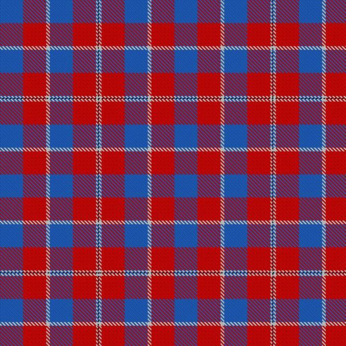 Domino's Pizza Group Tartan 