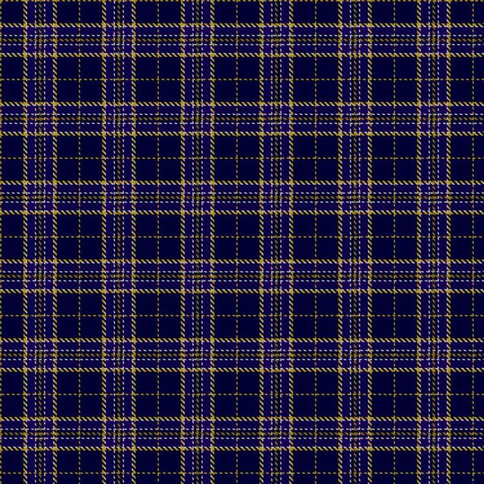 East Tennessee State University Tartan 