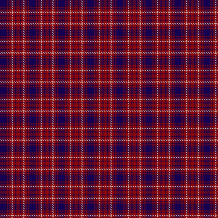 Edinburgh Marketing Tartan 