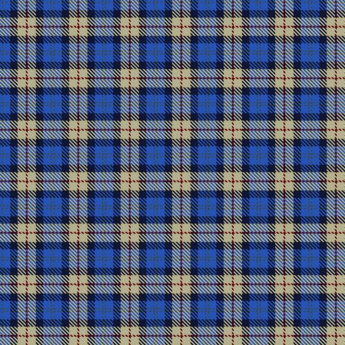 Elliott, Lynn & Family (Personal) Tartan
