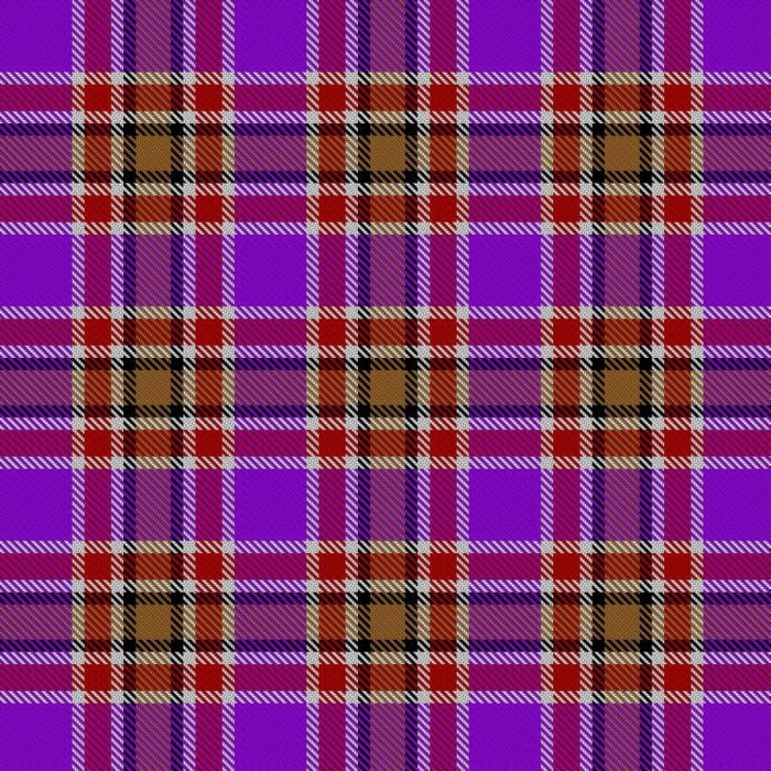 Ellis-Bain, Evan Hunting (Personal) Tartan 