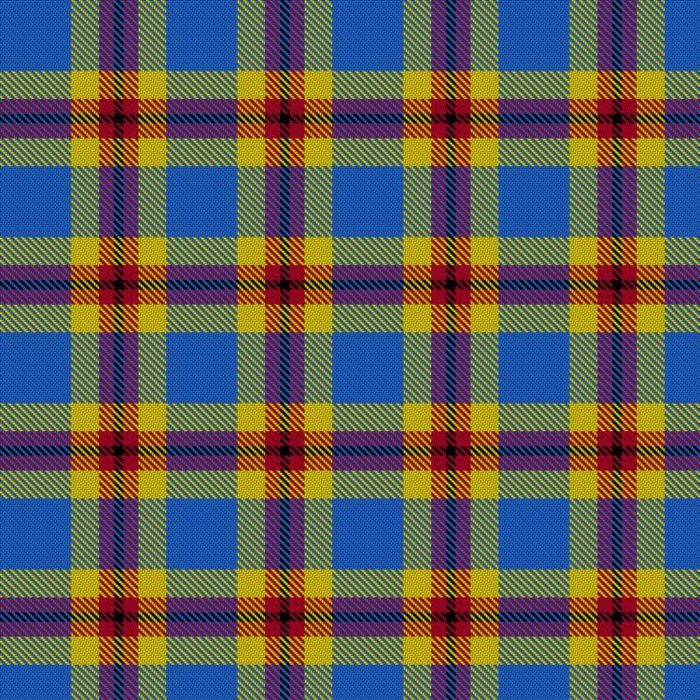 Ellis-Bain, Evan (Personal) Tartan 