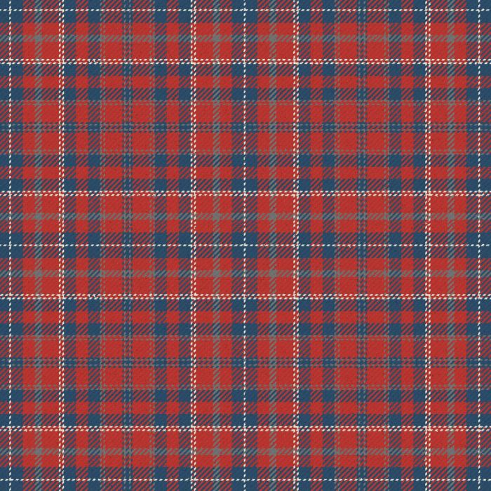 Ensemble pour L'Avenir Ancient Tartan Kilt