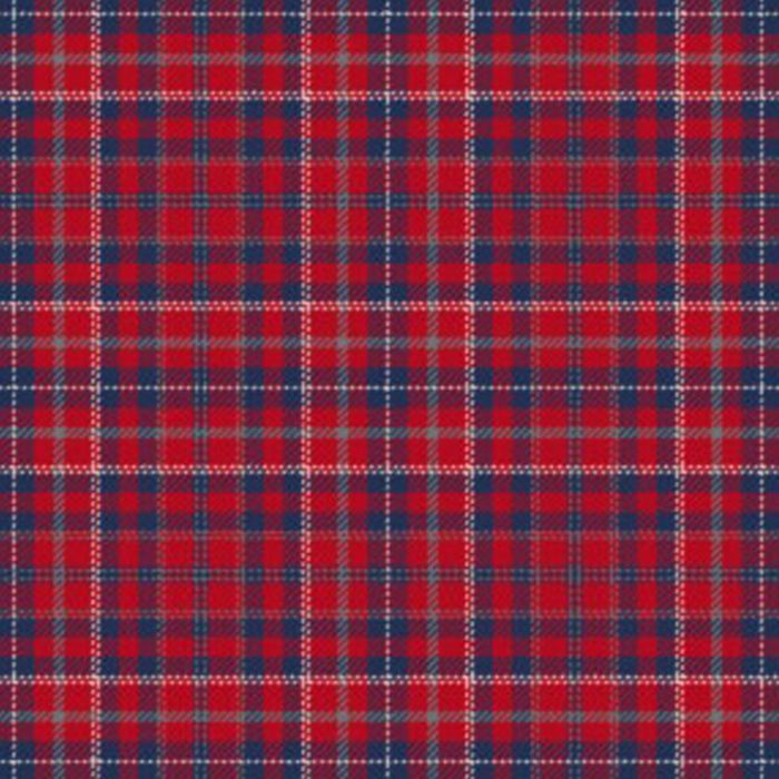 Ensemble pour L'Avenir Tartan Kilt