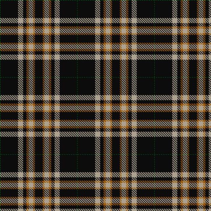 Entrepreneurial Spark Tartan 