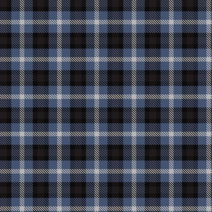 Equity Vision Ltd Tartan 