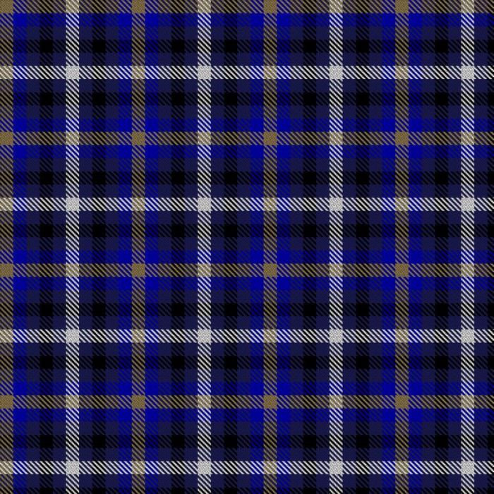 Eurasian Otter (Dòbhran Eurasian) Tartan 