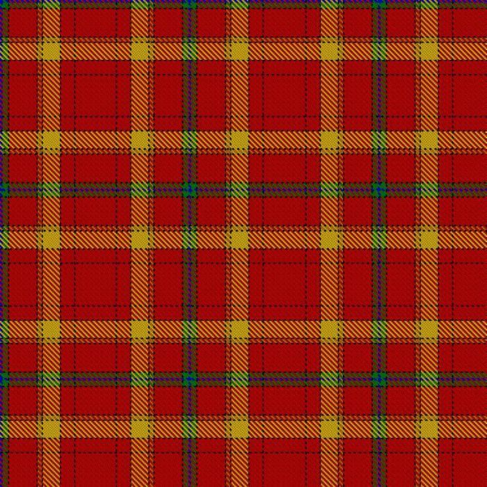 European Renal Association Tartan 