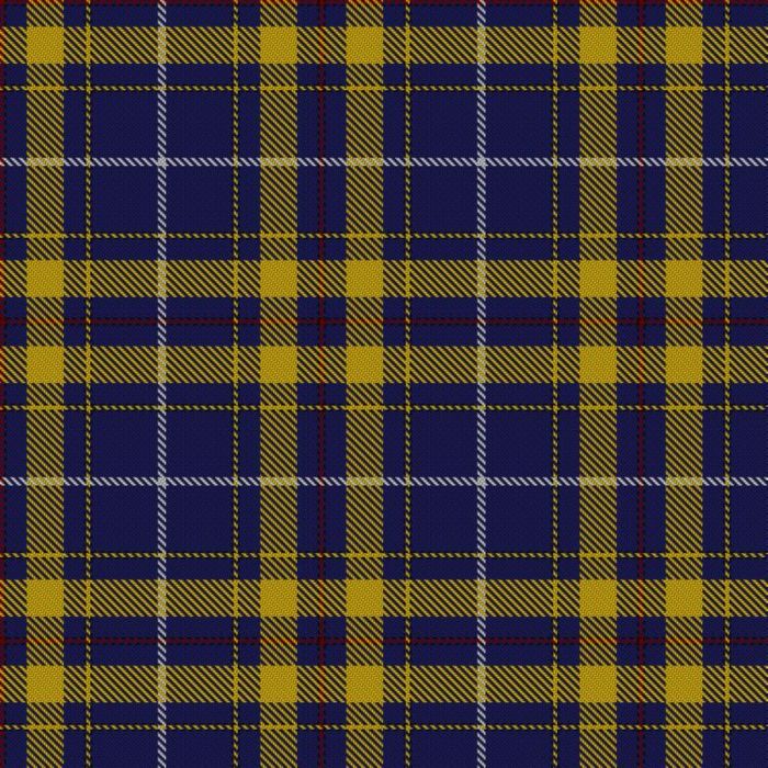 European Union Tartan 