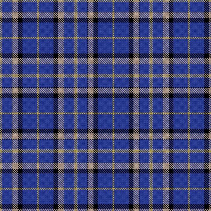 Eva, Edward (Personal) Tartan 
