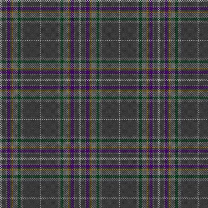 Fagan, David & Rückert, Claire and Family (Personal) Tartan 
