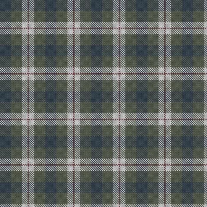 Farooq in Livingston (Personal) Tartan 