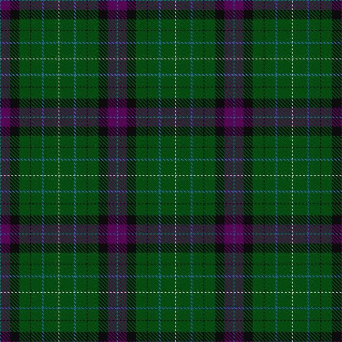 Faskin Family (Aberdeenshire) Tartan