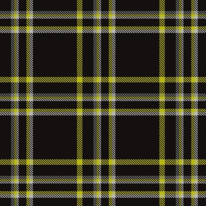 Feltham, P & Family (Personal) Tartan 