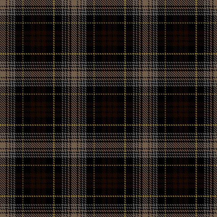 FENDI Tartan 