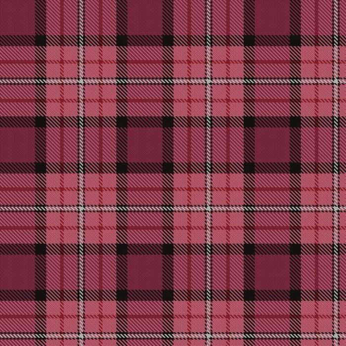Ferguson's Promise Tartan 