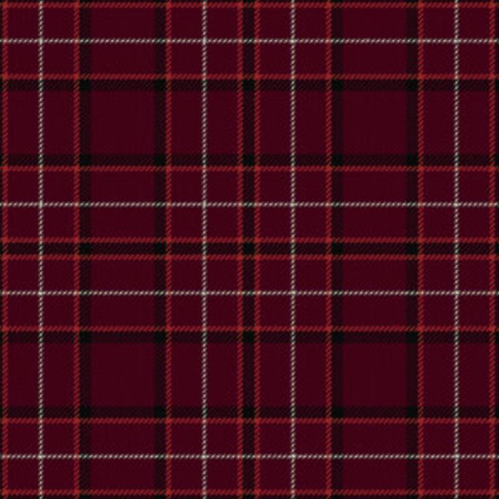 Fernie Modern Tartan Kilt