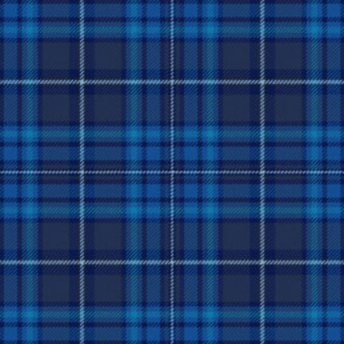 Ferring Pharmaceuticals Tartan Kilt