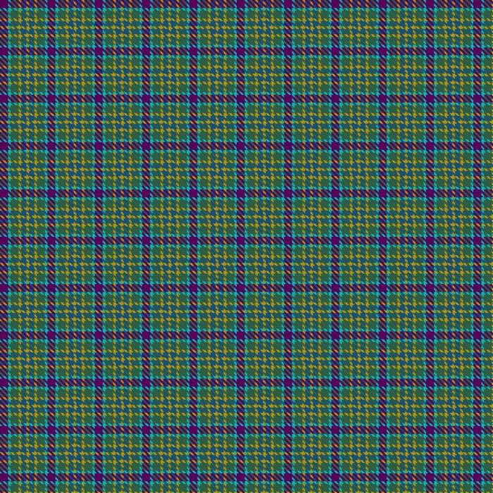 Fintry Primary School (Dundee) Tartan 