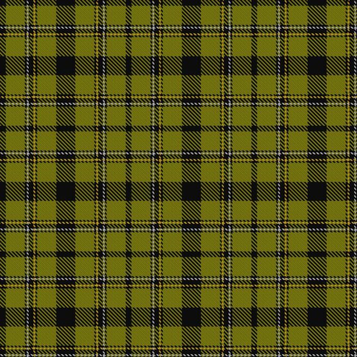 Forbes, Brian and Family, Hunting (Personal) Tartan 