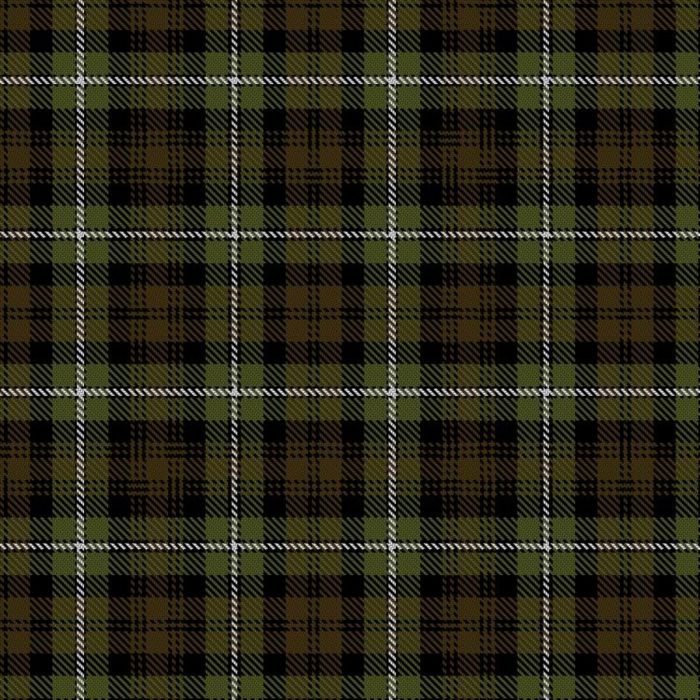 Forbes of Druminnor Tartan 