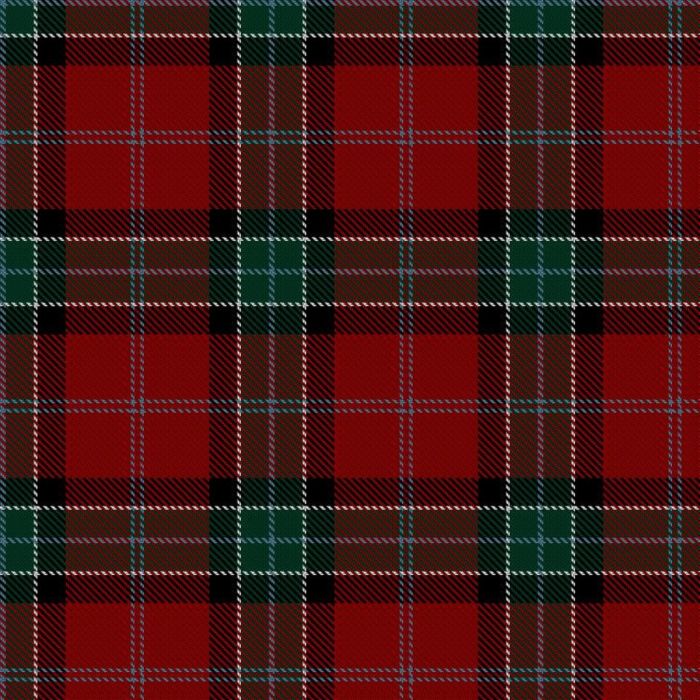 Force-Garrett, Daniel and Amy, & Family (Personal) Tartan