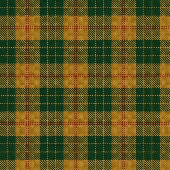 Forget Family (Yonne) Tartan
