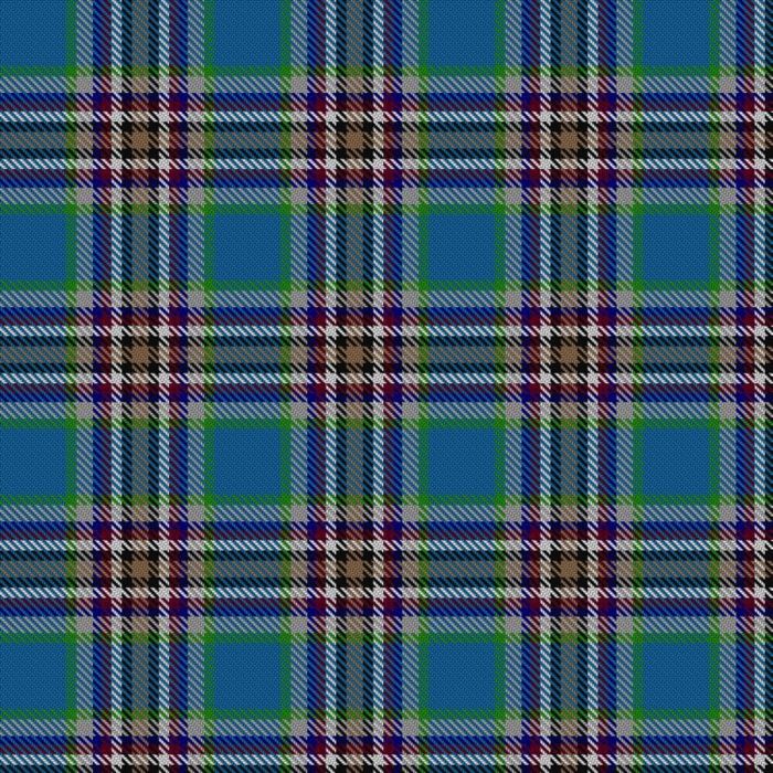 Fremsaeter, Jenny (Personal) Tartan 