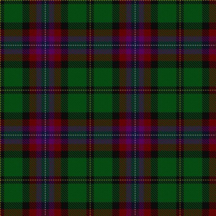 Fujitsu Tartan kilt
