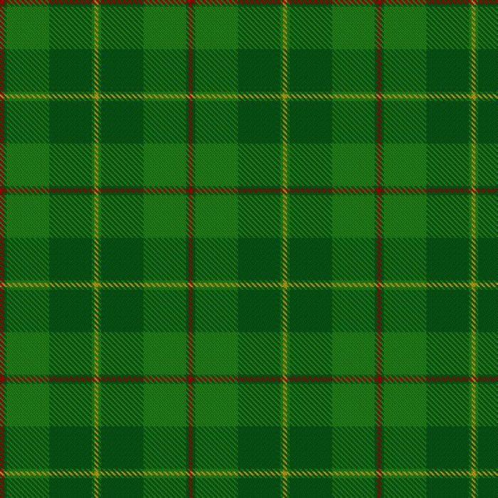 Galloway Green (yellow line) Tartan 