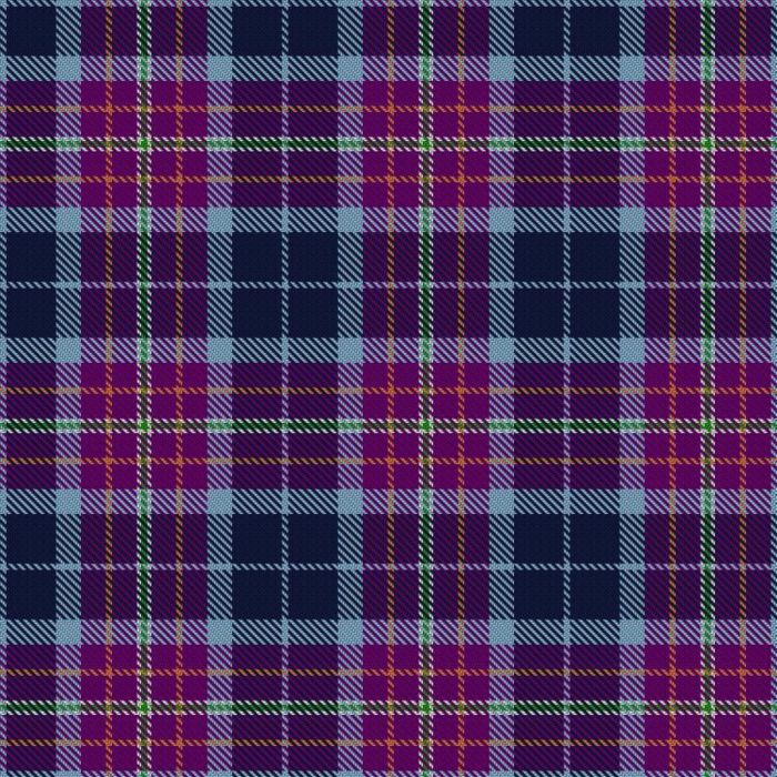 Gangopadhyay, S & Family (Personal) Tartan