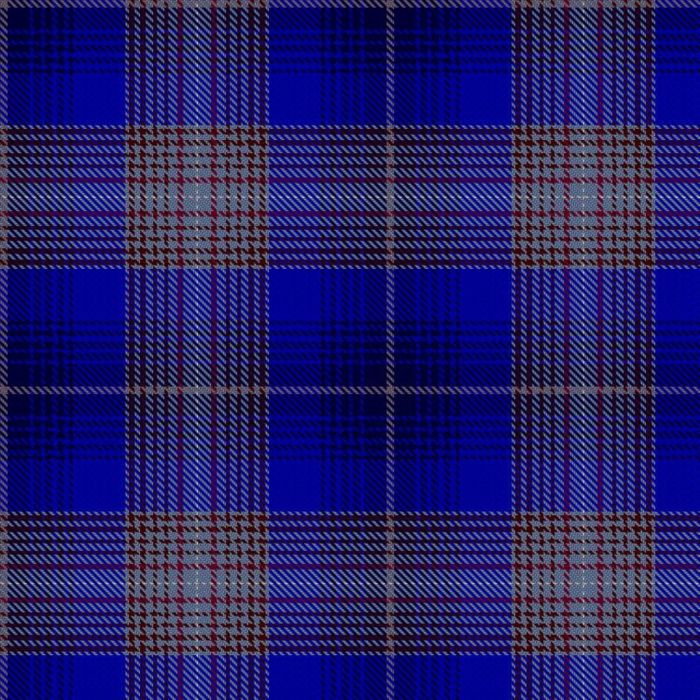 Gavrielov, Vladislav & Family (Personal) Tartan 