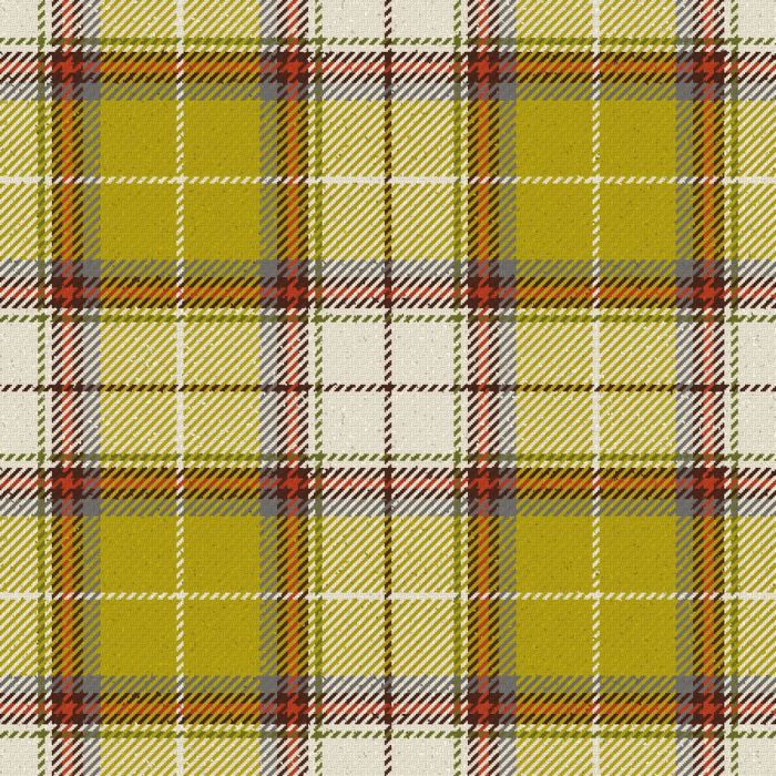 Golden Heather Ancient  Tartan kilt