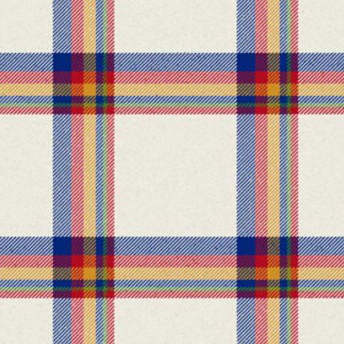 Google Tartan Kilt