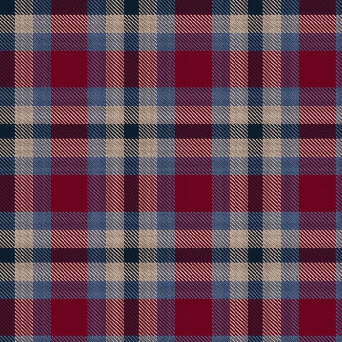 Haggis Hostels Tartan 