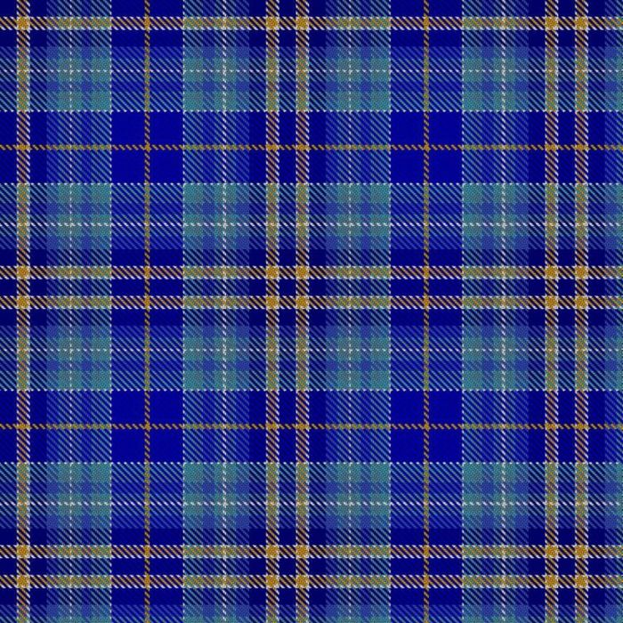 Hammell, C and Family (Personal) Tartan