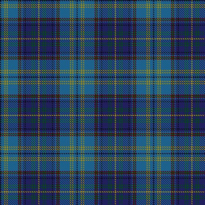 Harmon of Plenderleith (Personal) Tartan