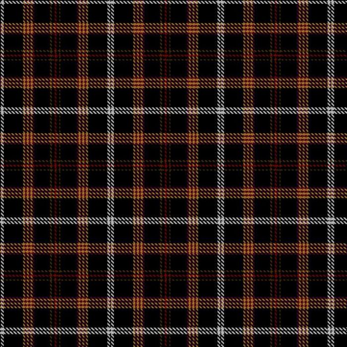 Harry Potter Tartan 