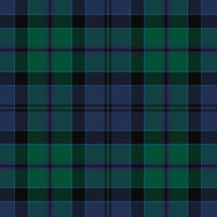 Hebridean Old District Tartan Kilt