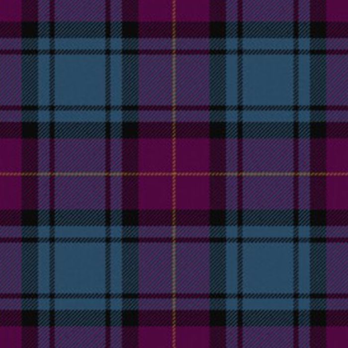 Joker The Tartan Kilt
