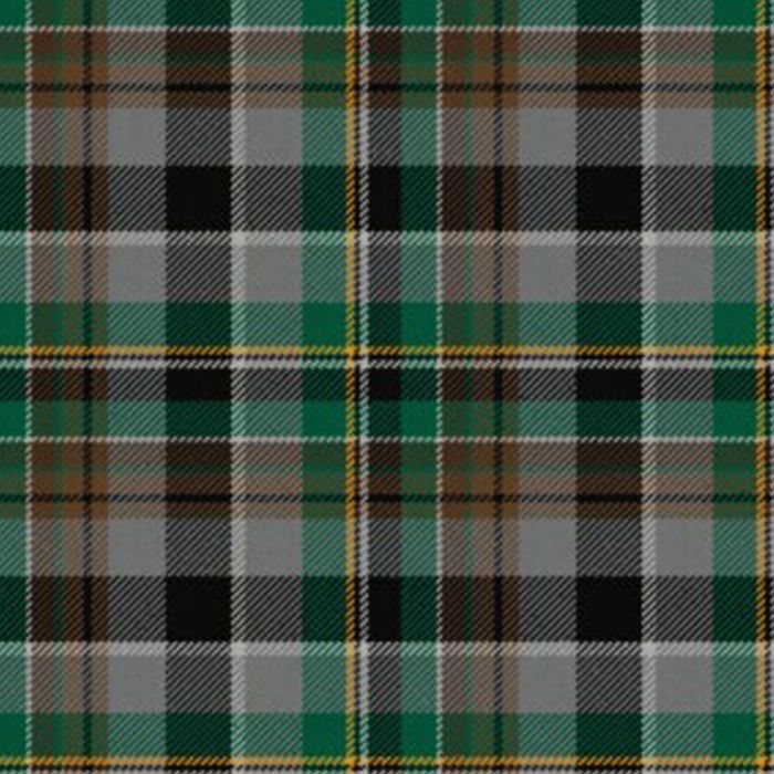 Les Cercles de Femme Tartan kilt